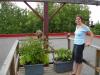 Trousses "prêt-a-pousser" chez Erin | Ready-to-grow kits on Erin's roof